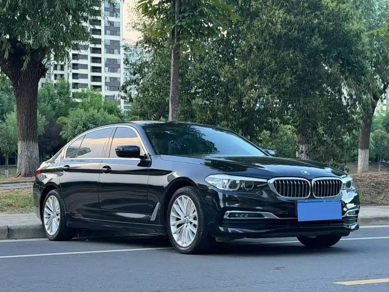 2019 BMW 5 Series 525Li Luxury Package — миниатюра 3