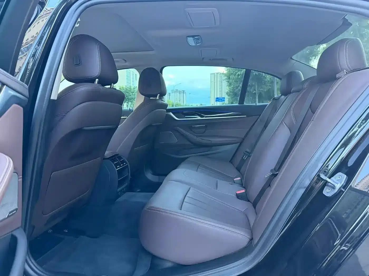 2019 BMW 5 Series 525Li Luxury Package — миниатюра 5