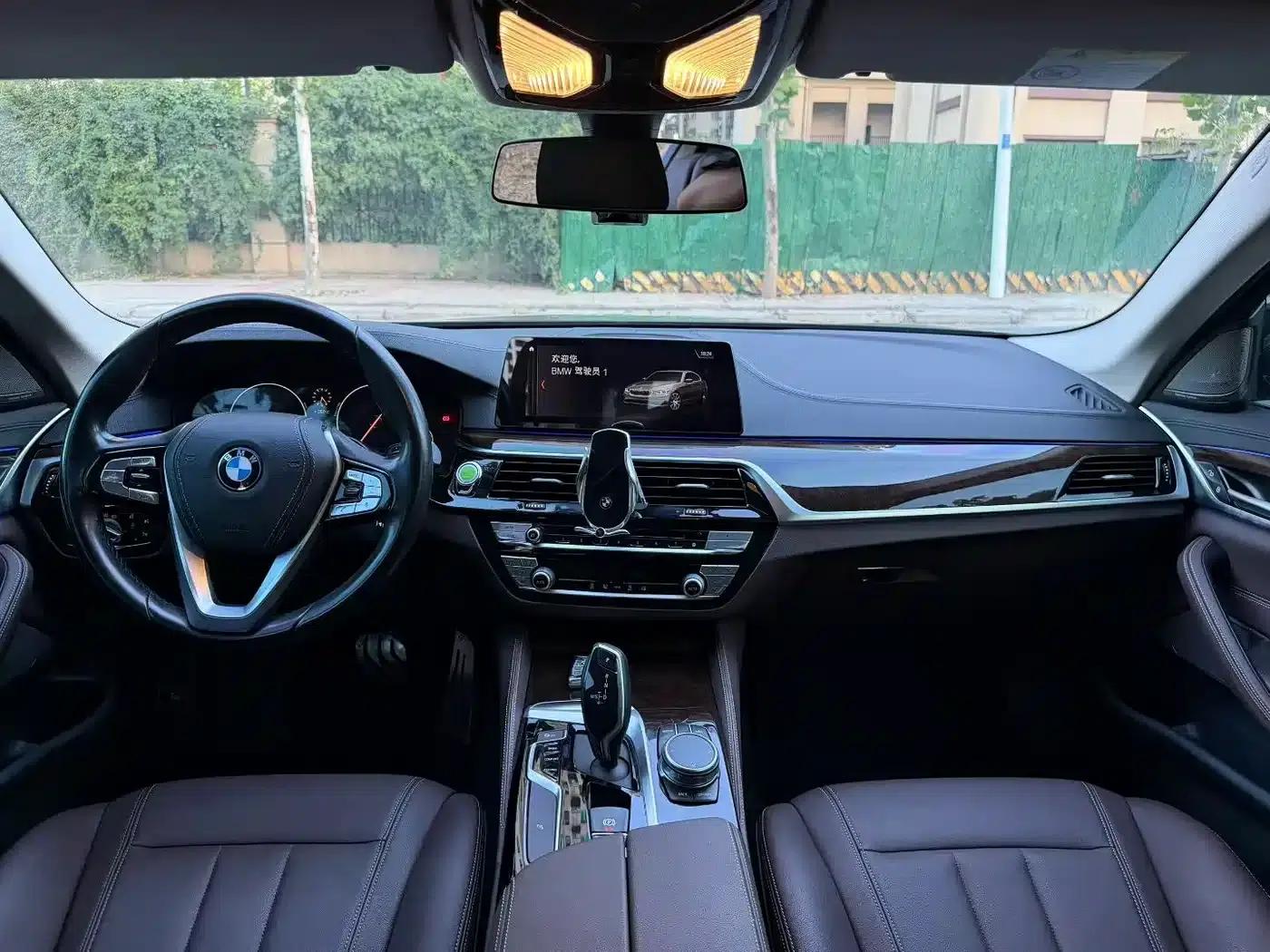 2019 BMW 5 Series 525Li Luxury Package — миниатюра 6