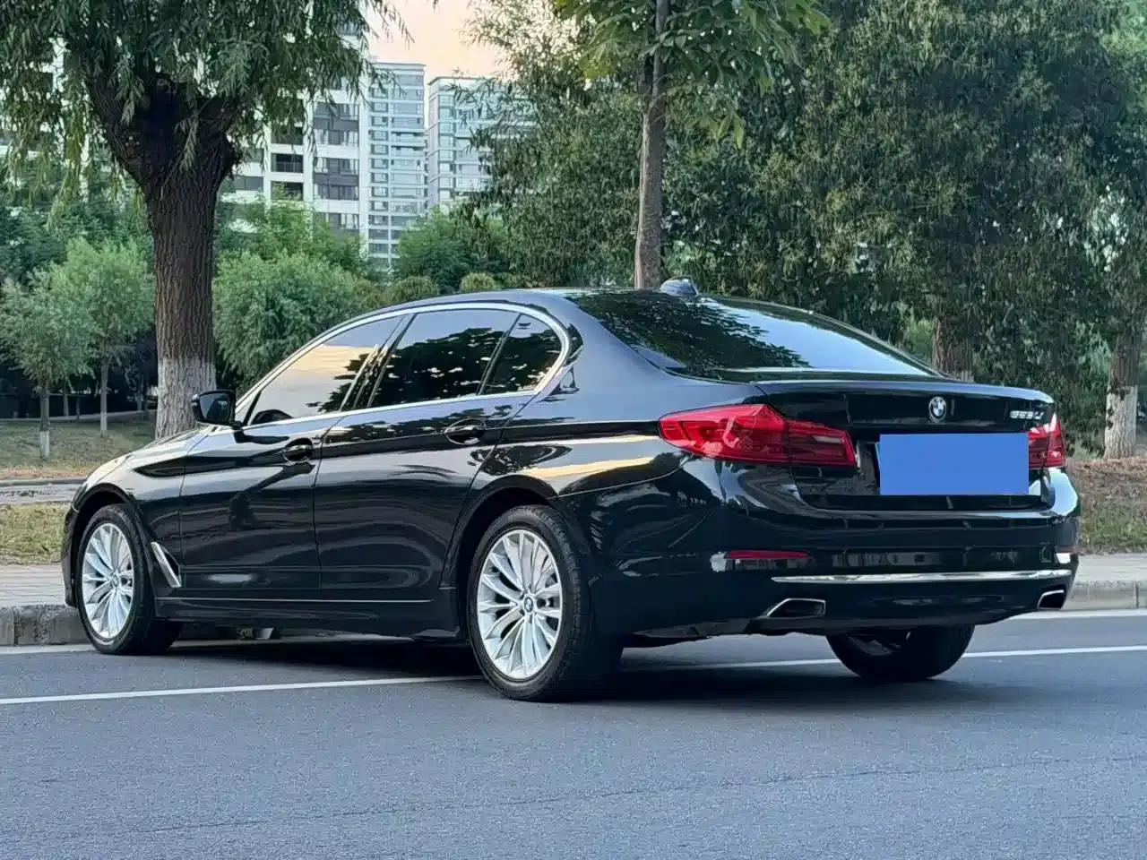 2019 BMW 5 Series 525Li Luxury Package — миниатюра 7