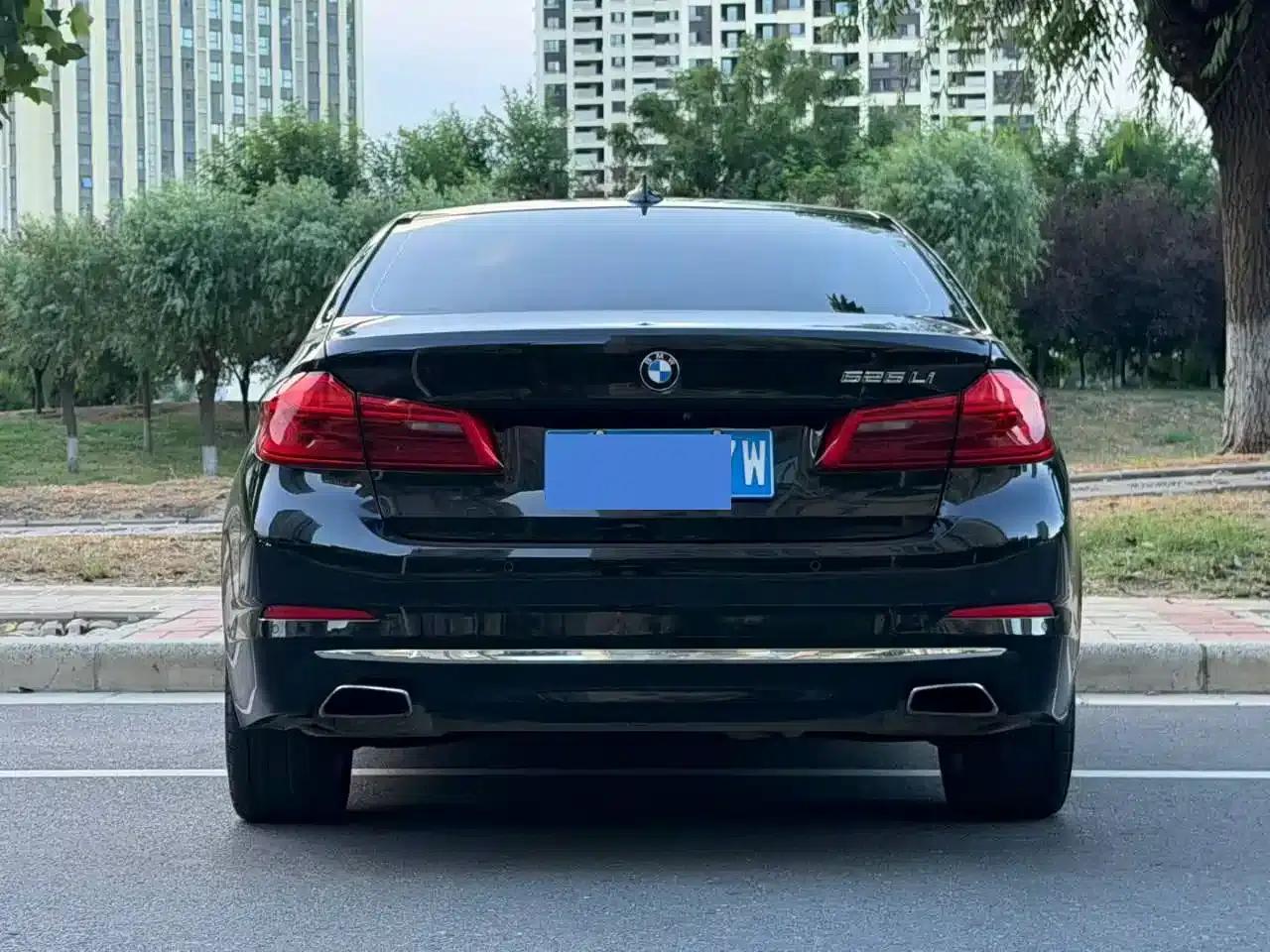 2019 BMW 5 Series 525Li Luxury Package — миниатюра 8