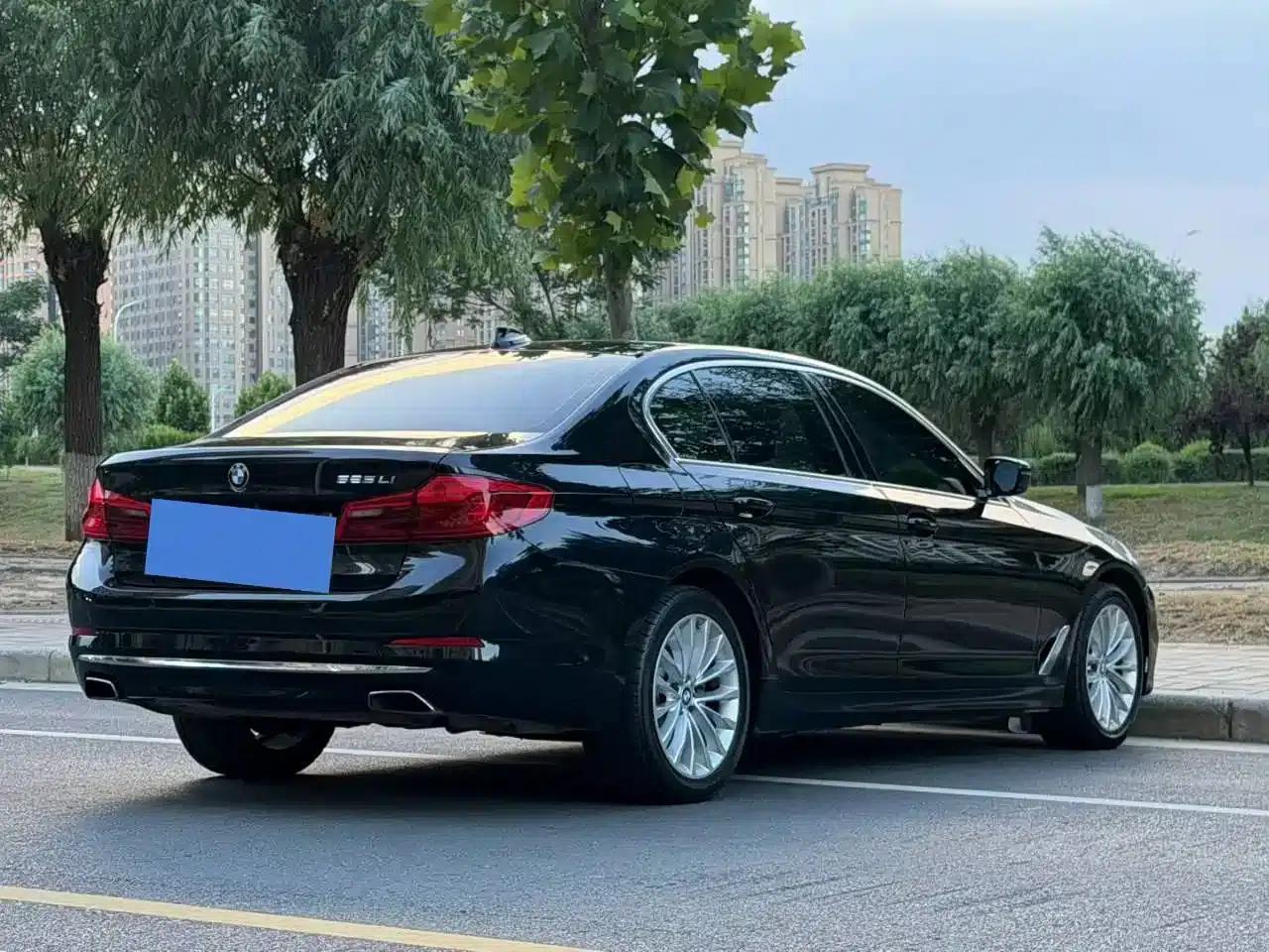 2019 BMW 5 Series 525Li Luxury Package — миниатюра 9