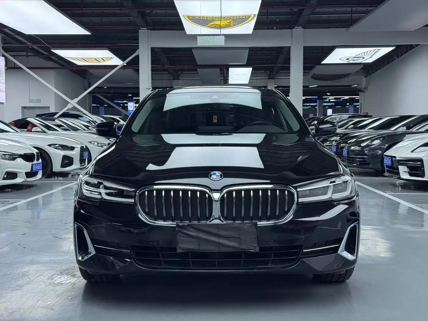2022 BMW 5 Series 530Li Leading Luxury Package — миниатюра 2