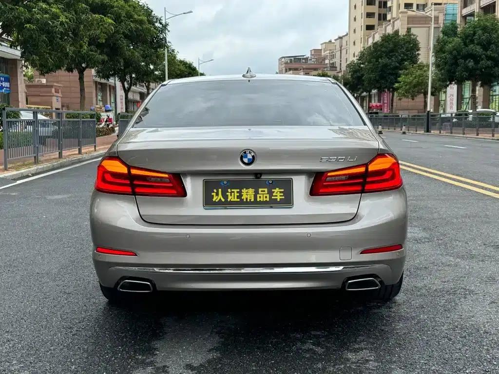 2018 BMW 5 Series Facelift 530Li Leading Luxury Package — миниатюра 14