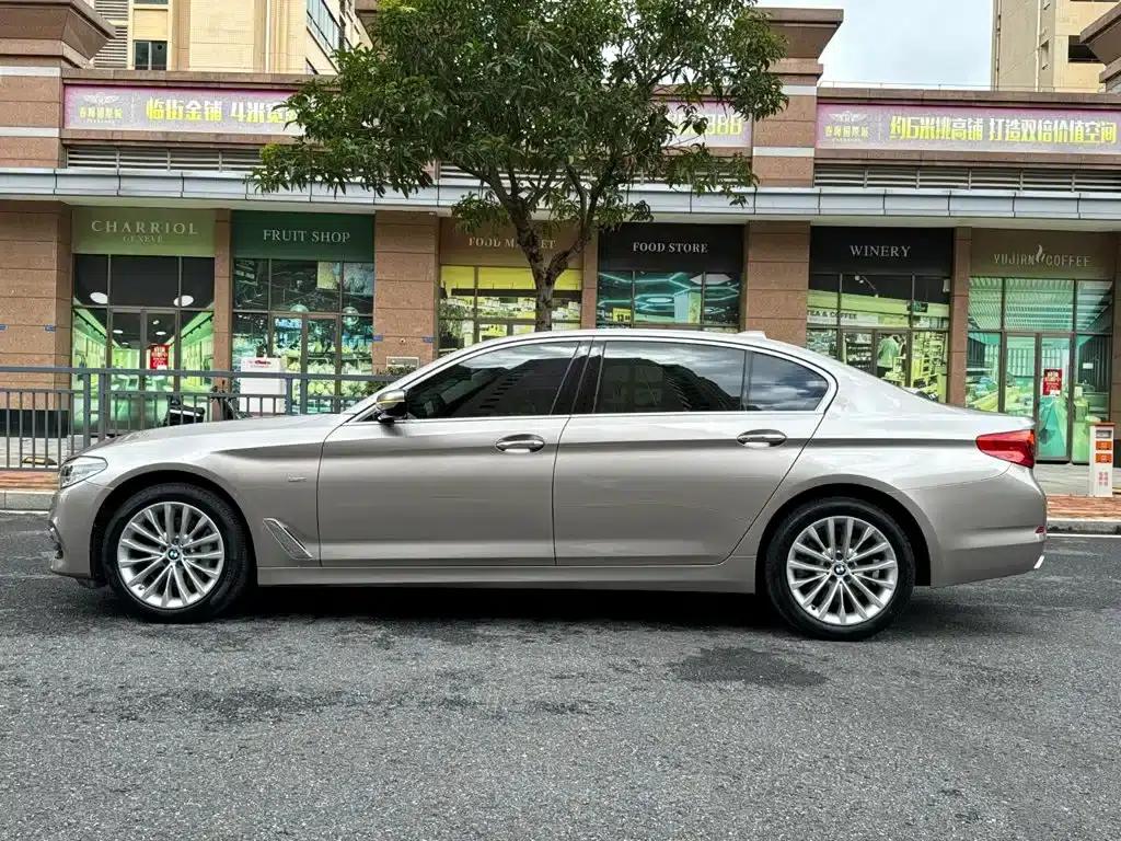 2018 BMW 5 Series Facelift 530Li Leading Luxury Package — миниатюра 9