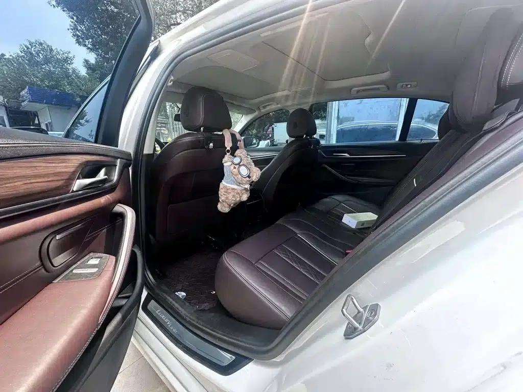2018 BMW 5 Series 530Li Leading Luxury Package — миниатюра 10