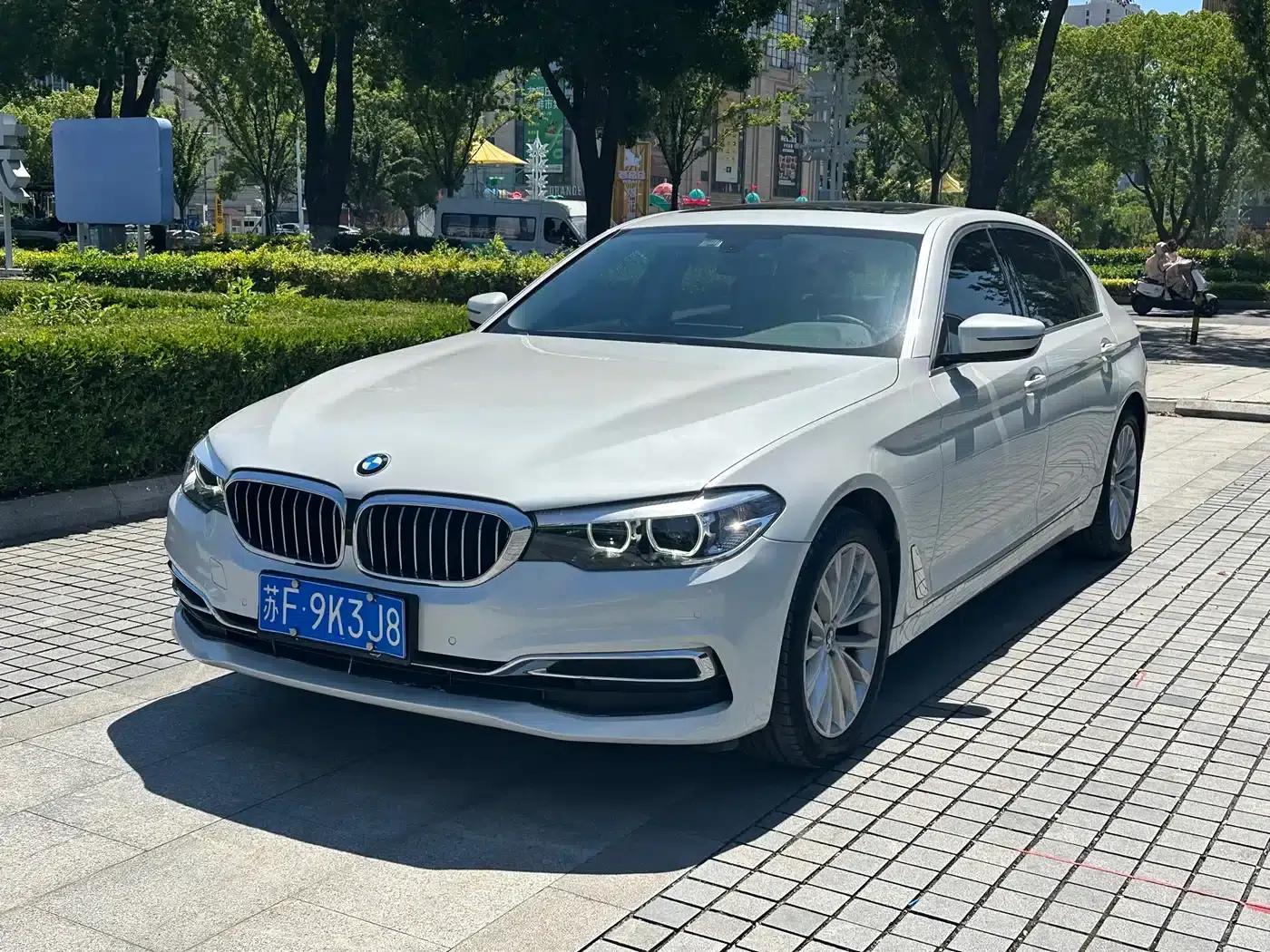 2020 BMW 5 Series 525Li Luxury Package — миниатюра 1