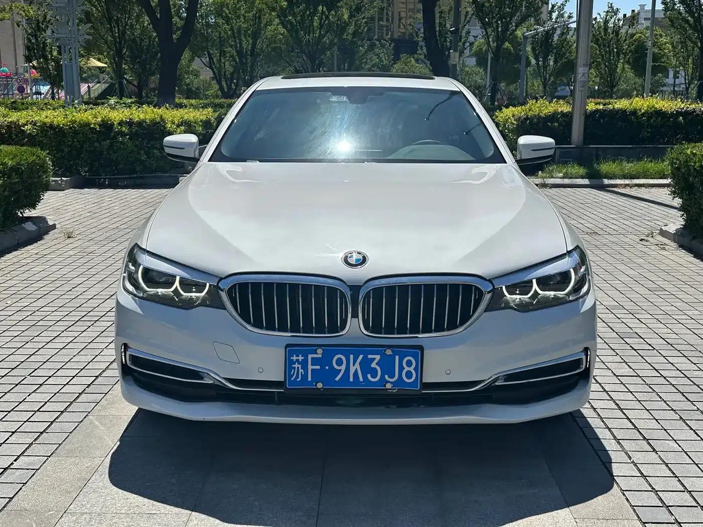 2020 BMW 5 Series 525Li Luxury Package — миниатюра 2