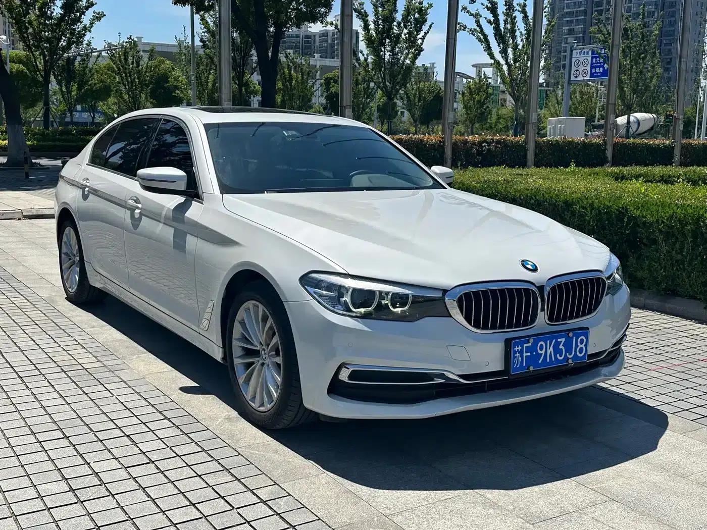 2020 BMW 5 Series 525Li Luxury Package — миниатюра 3
