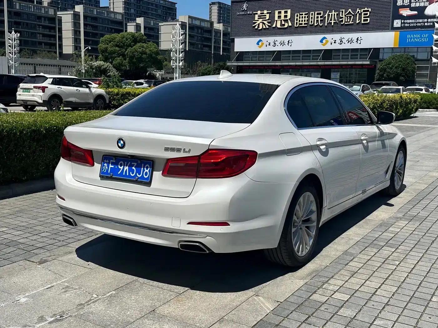 2020 BMW 5 Series 525Li Luxury Package — миниатюра 7
