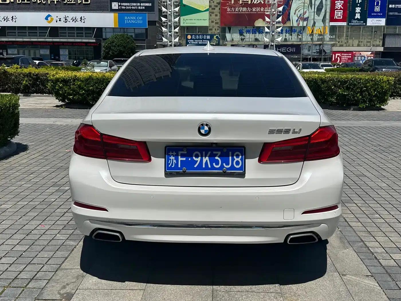 2020 BMW 5 Series 525Li Luxury Package — миниатюра 8