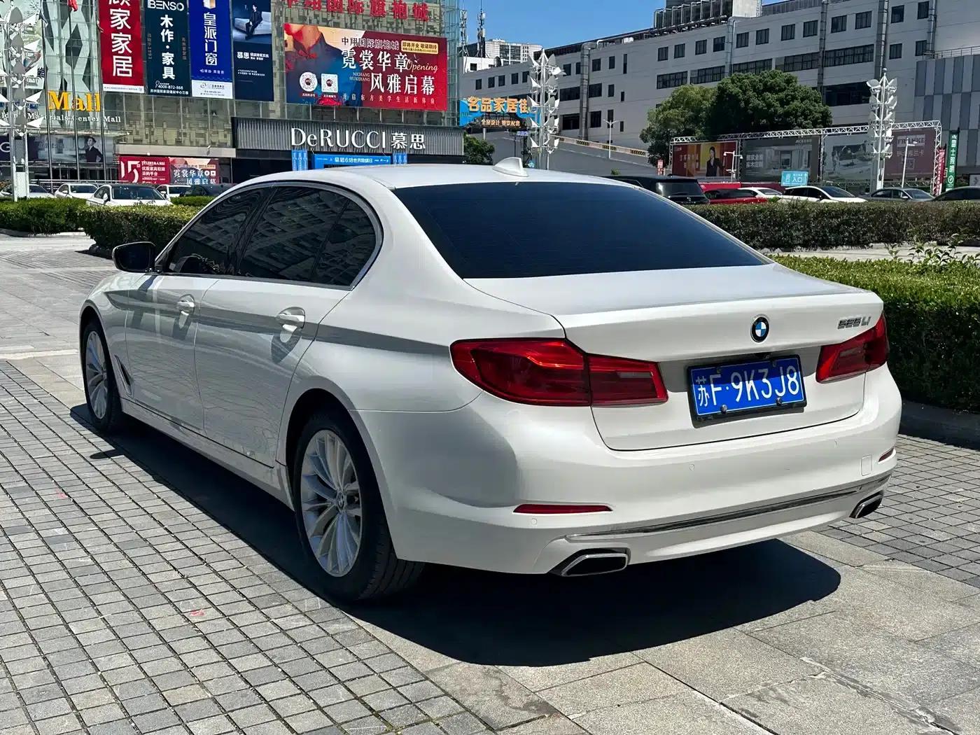 2020 BMW 5 Series 525Li Luxury Package — миниатюра 9