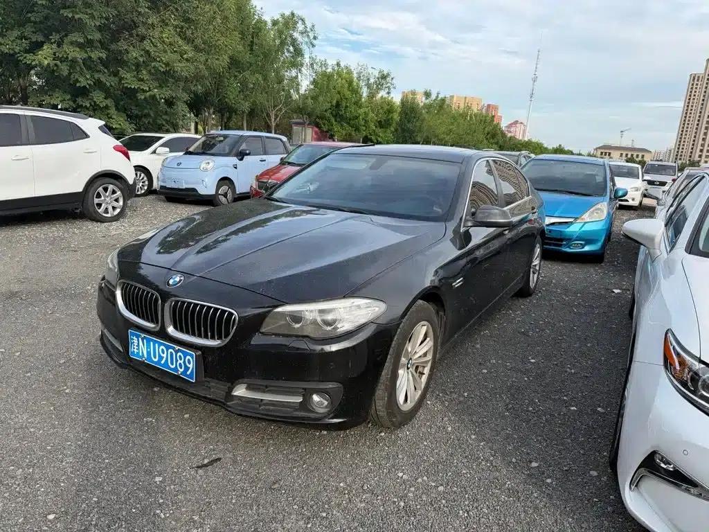 2014 BMW 5 Series 520Li Elegant Edition — миниатюра 1