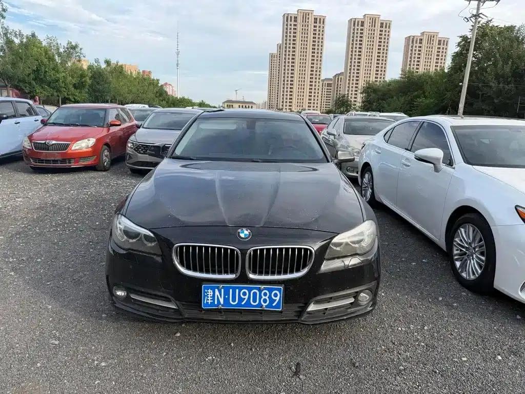 2014 BMW 5 Series 520Li Elegant Edition — миниатюра 2