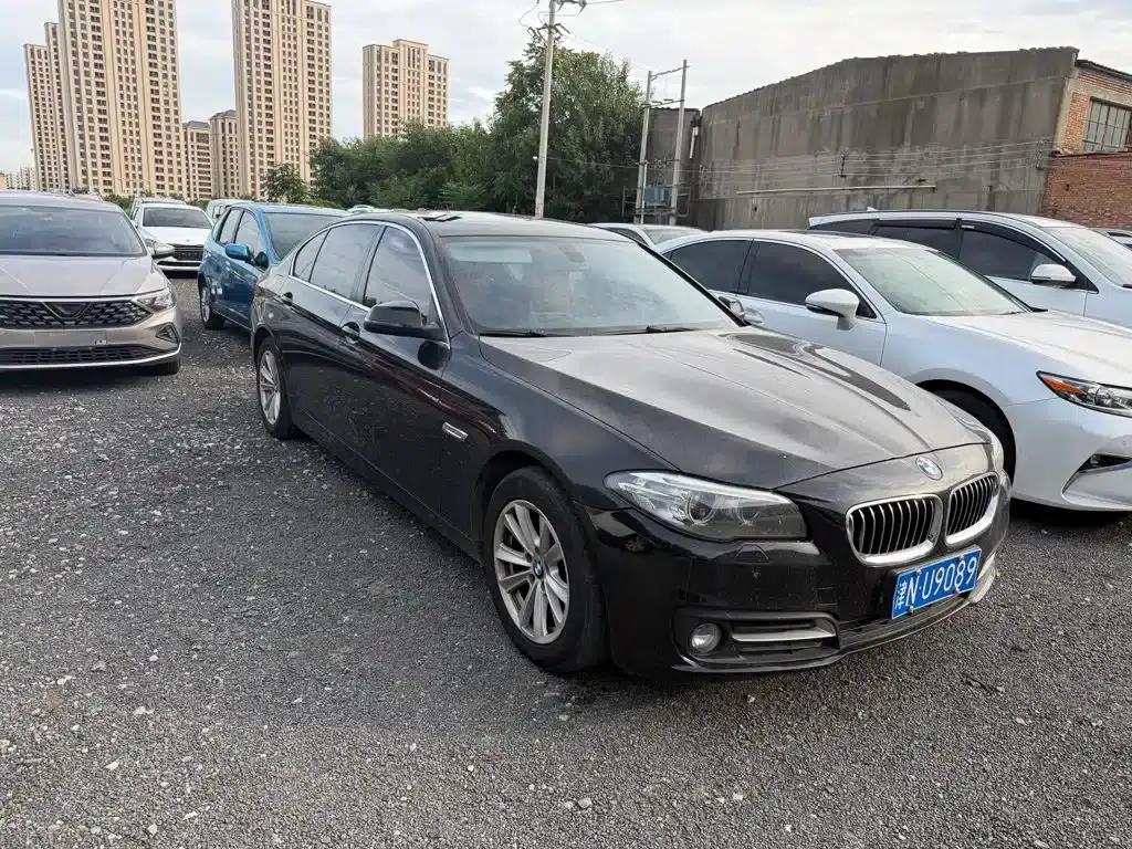 2014 BMW 5 Series 520Li Elegant Edition — миниатюра 3