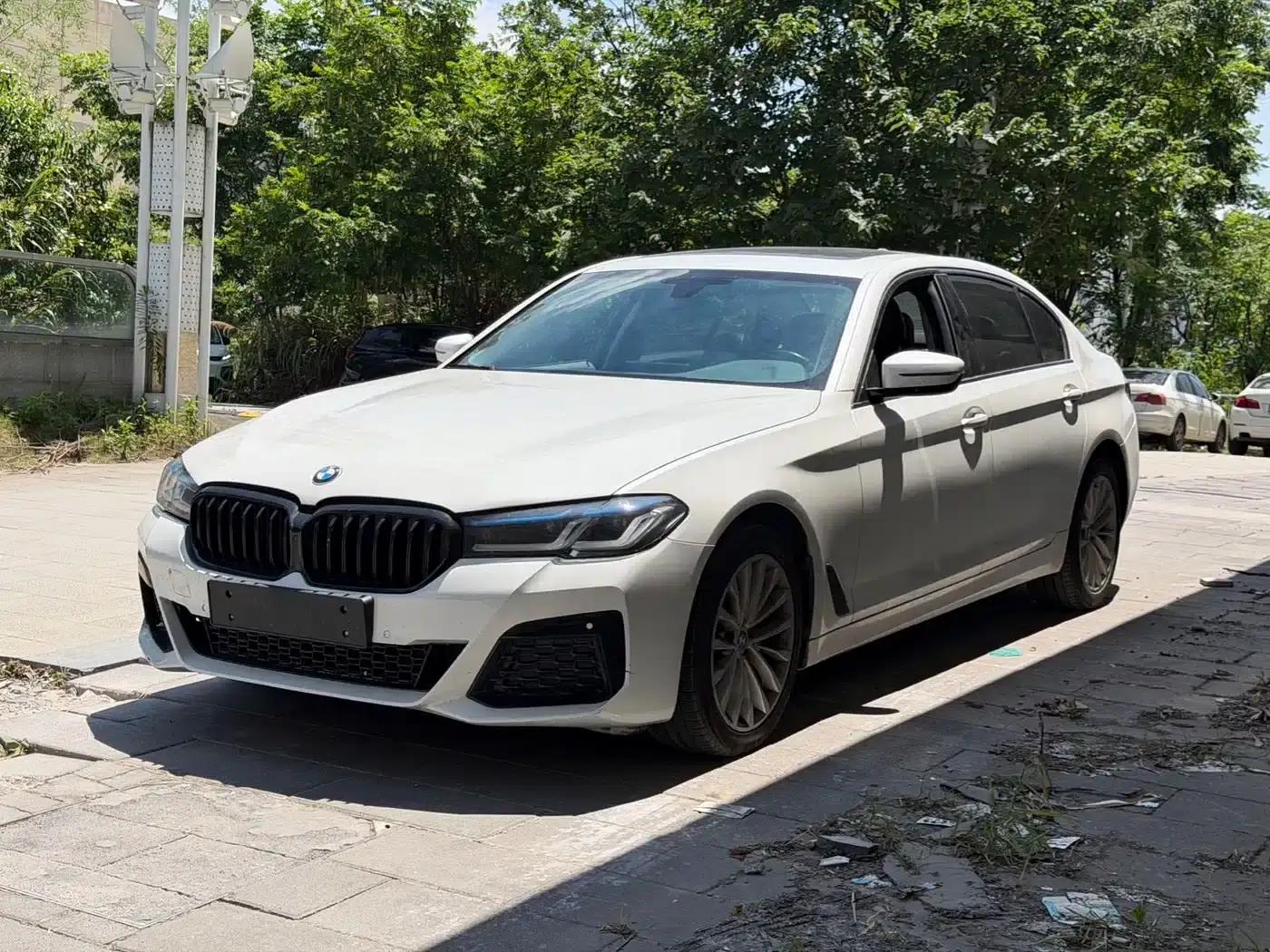 BMW 5 Series 2019 530Li Leading Luxury Package — миниатюра 1