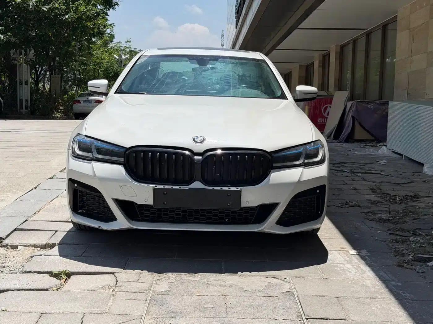 BMW 5 Series 2019 530Li Leading Luxury Package — миниатюра 3