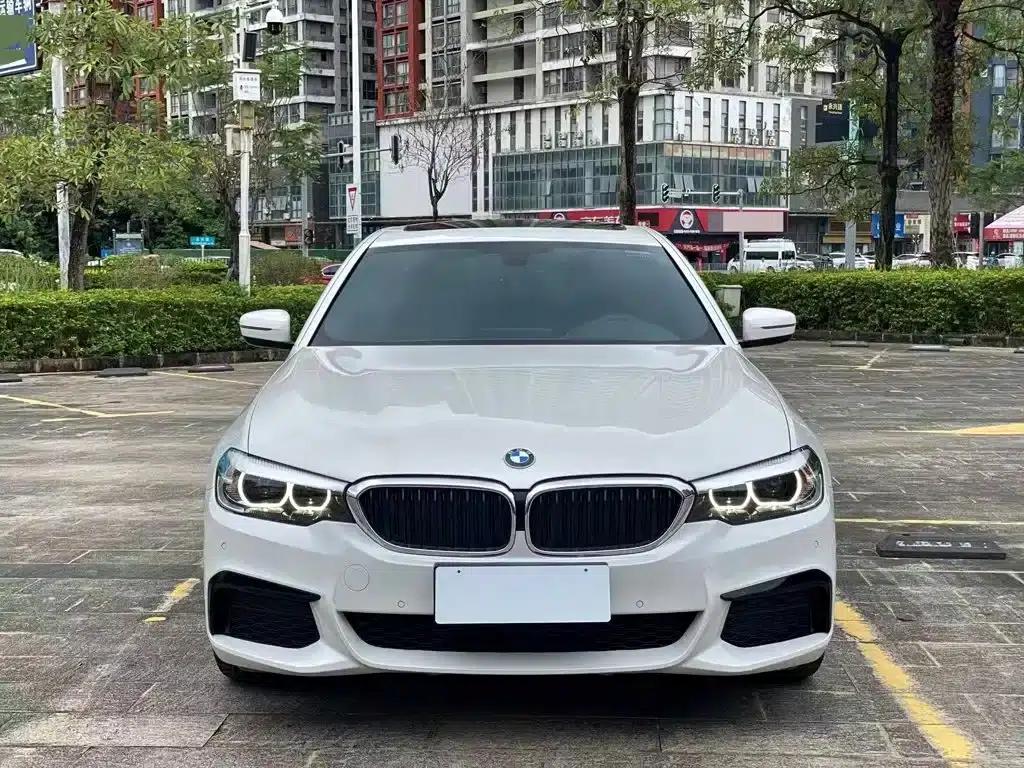 2020 BMW 5 Series 525Li M Sport Package — миниатюра 6