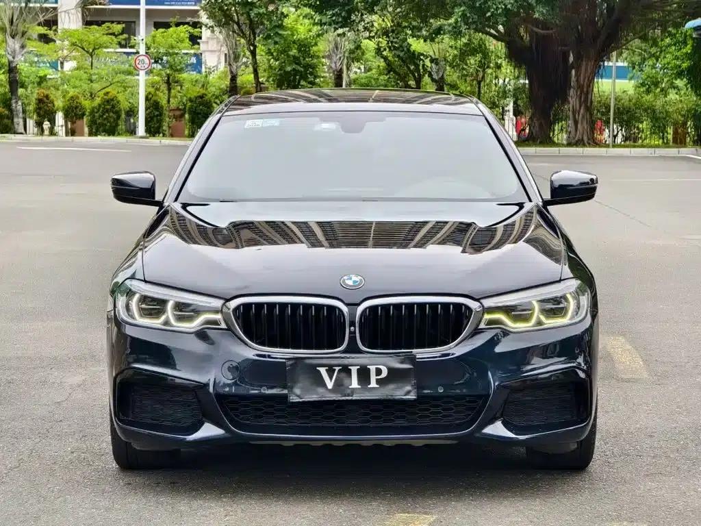 2020 BMW 5 Series 530Li Luxury M Sport Package — миниатюра 2