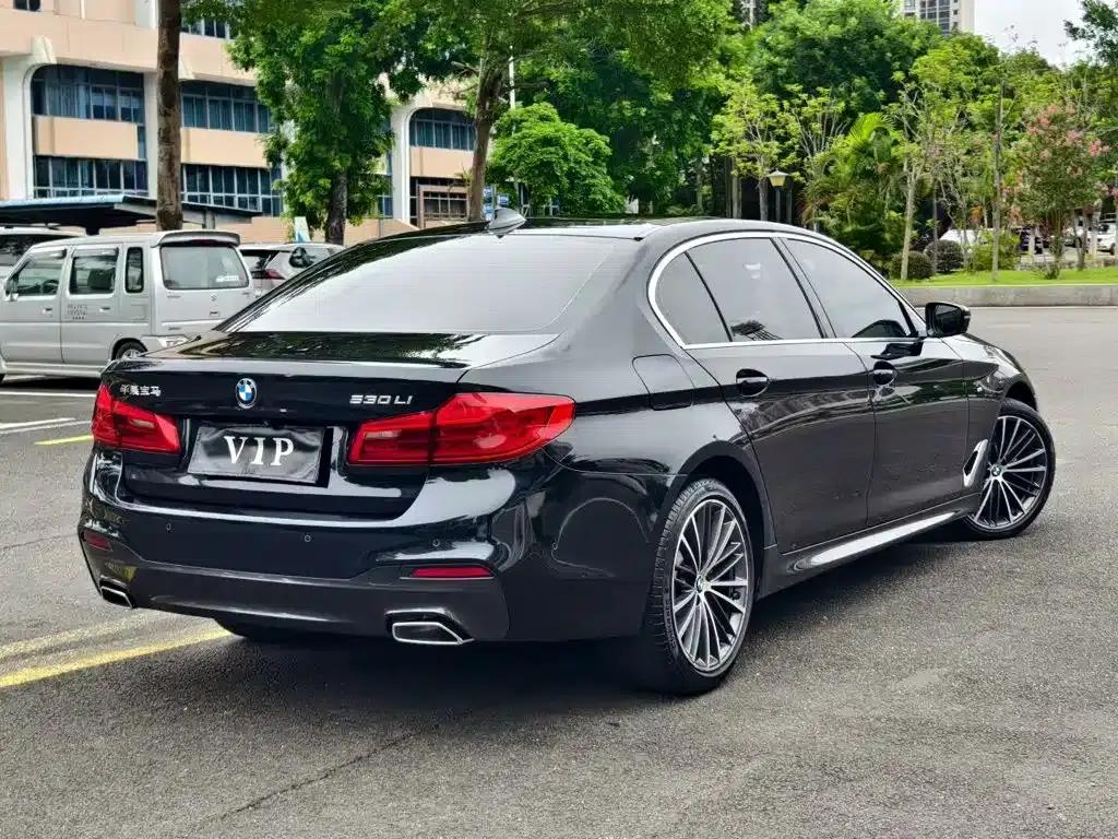 2020 BMW 5 Series 530Li Luxury M Sport Package — миниатюра 9