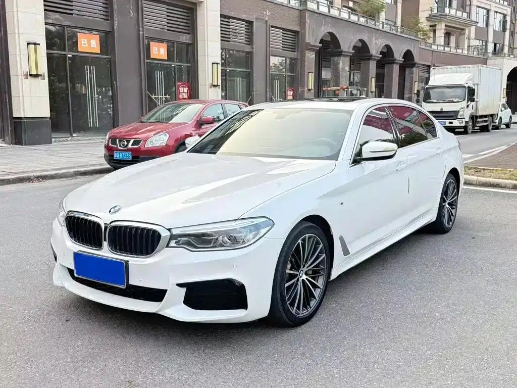 2020 BMW 5 Series 530Li Leading Edition M Sport Package — миниатюра 1
