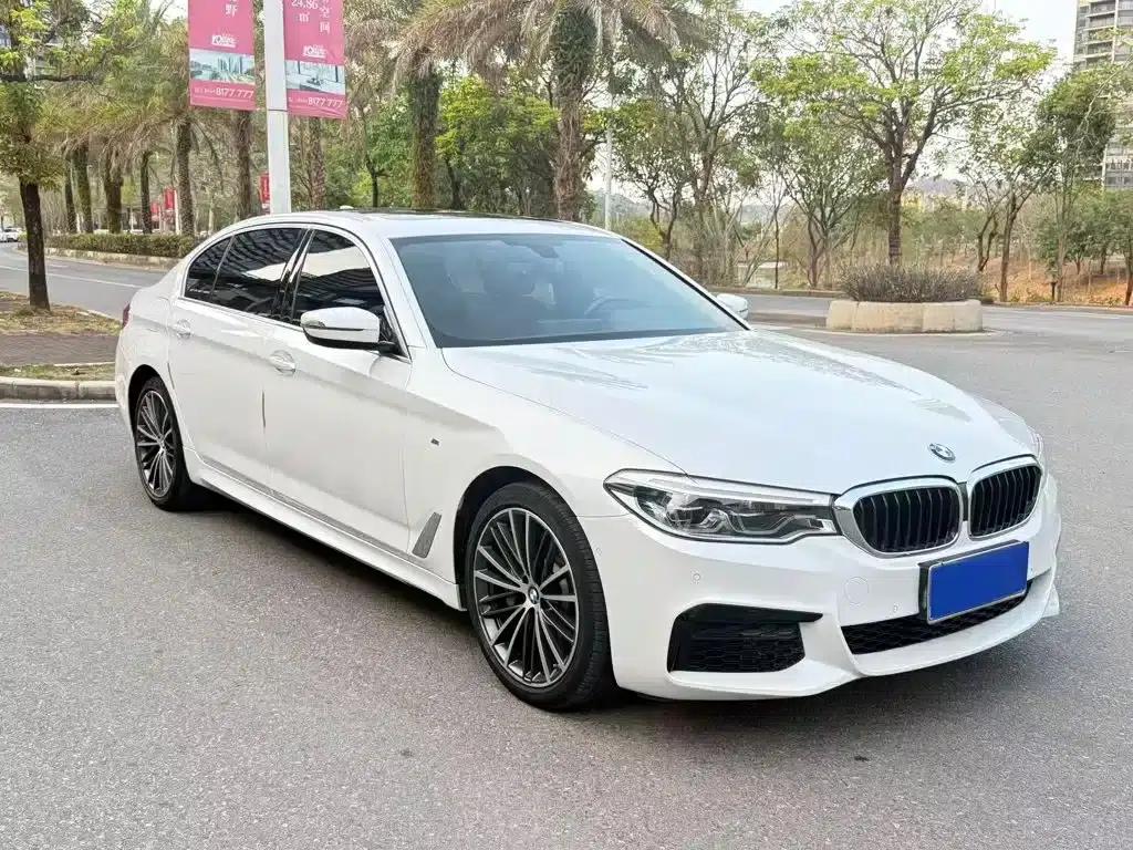 2020 BMW 5 Series 530Li Leading Edition M Sport Package — миниатюра 2