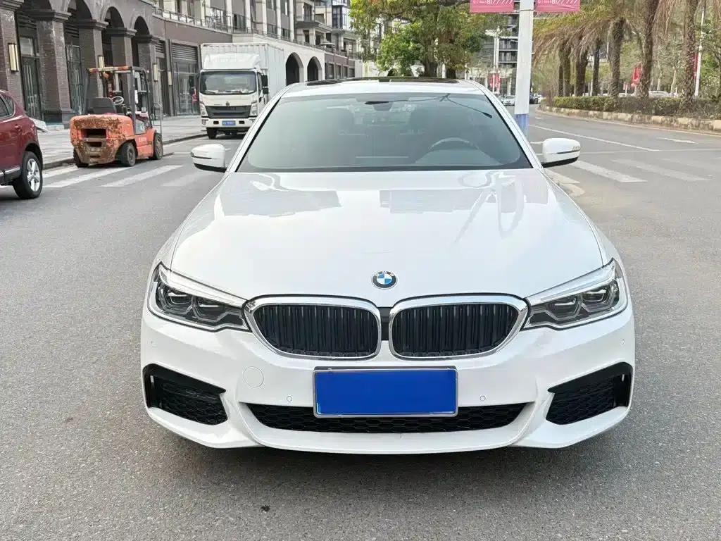 2020 BMW 5 Series 530Li Leading Edition M Sport Package — миниатюра 3