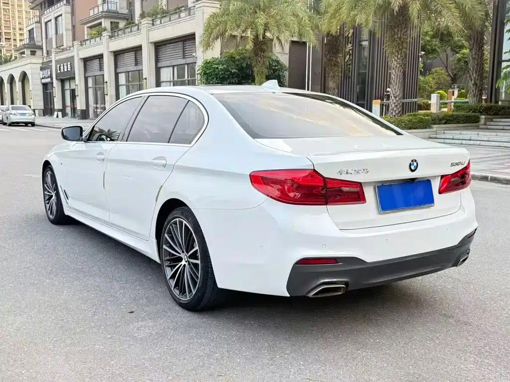 2020 BMW 5 Series 530Li Leading Edition M Sport Package — миниатюра 7