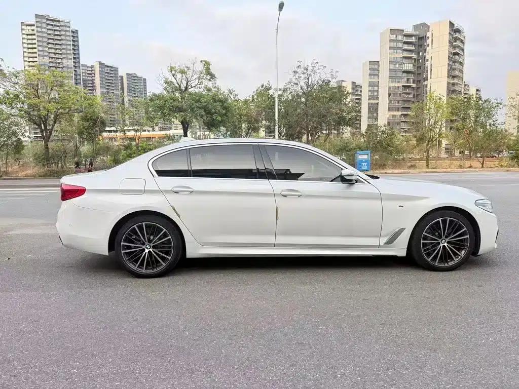 2020 BMW 5 Series 530Li Leading Edition M Sport Package — миниатюра 8
