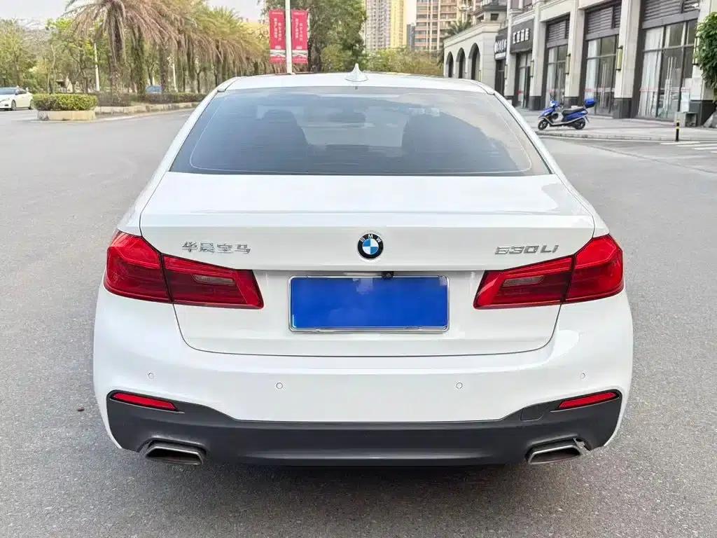 2020 BMW 5 Series 530Li Leading Edition M Sport Package — миниатюра 9
