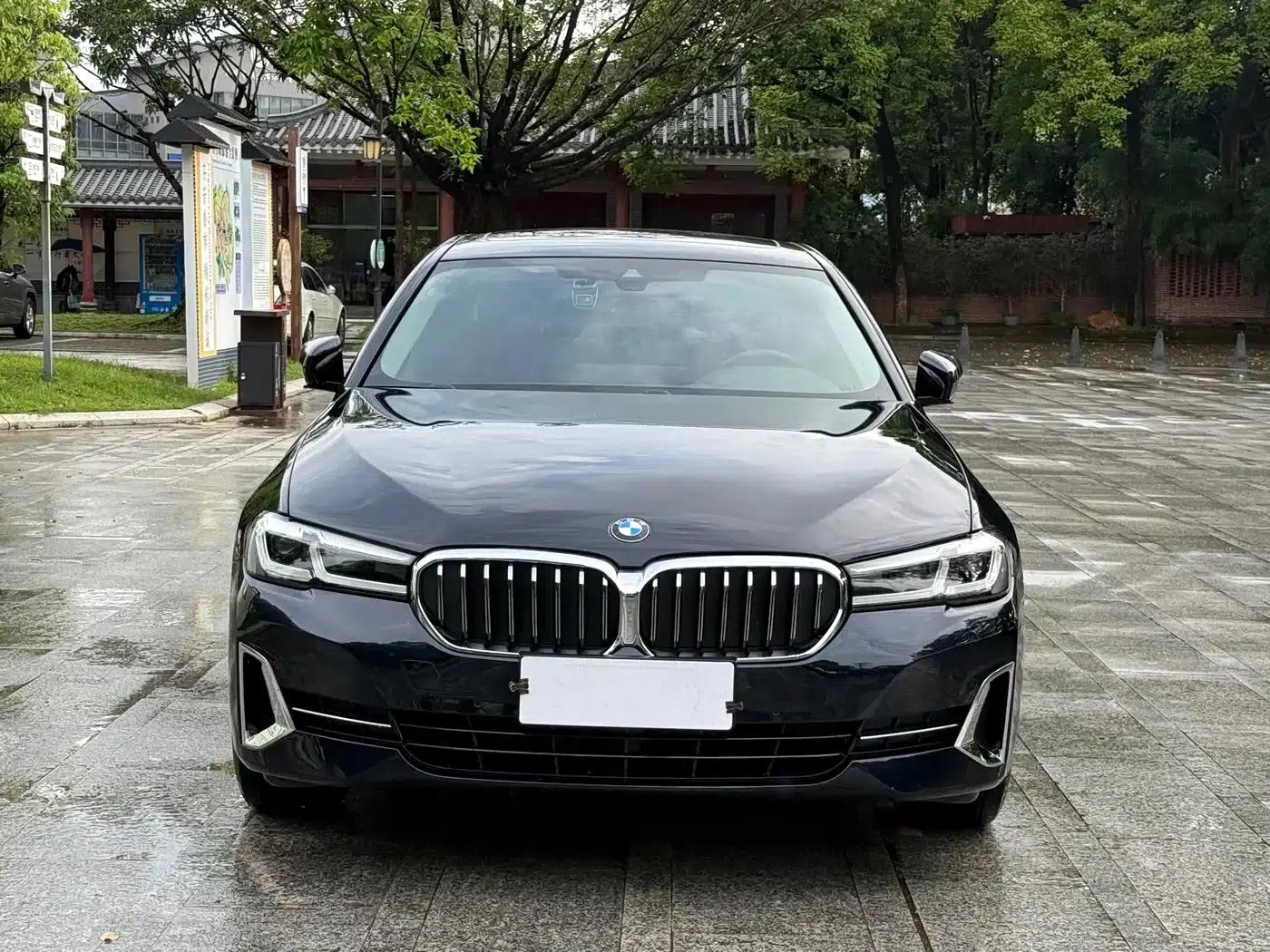2022 BMW 5 Series 530Li Leading Luxury Package — миниатюра 2