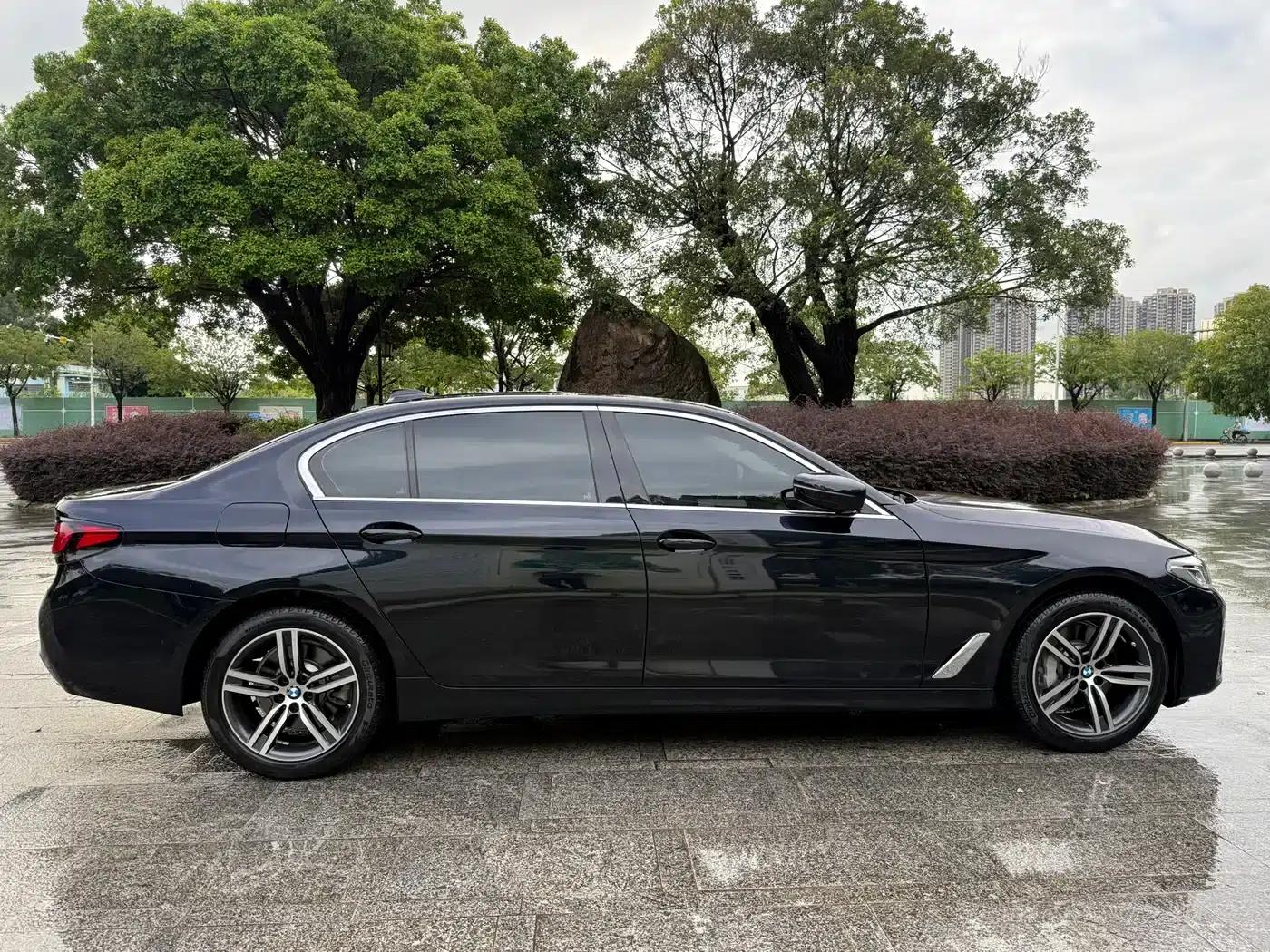 2022 BMW 5 Series 530Li Leading Luxury Package — миниатюра 10
