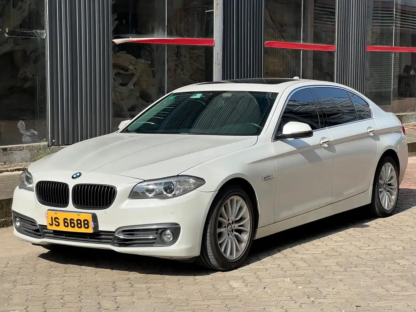 2014 BMW 5 Series 525Li Luxury Design Package — миниатюра 1