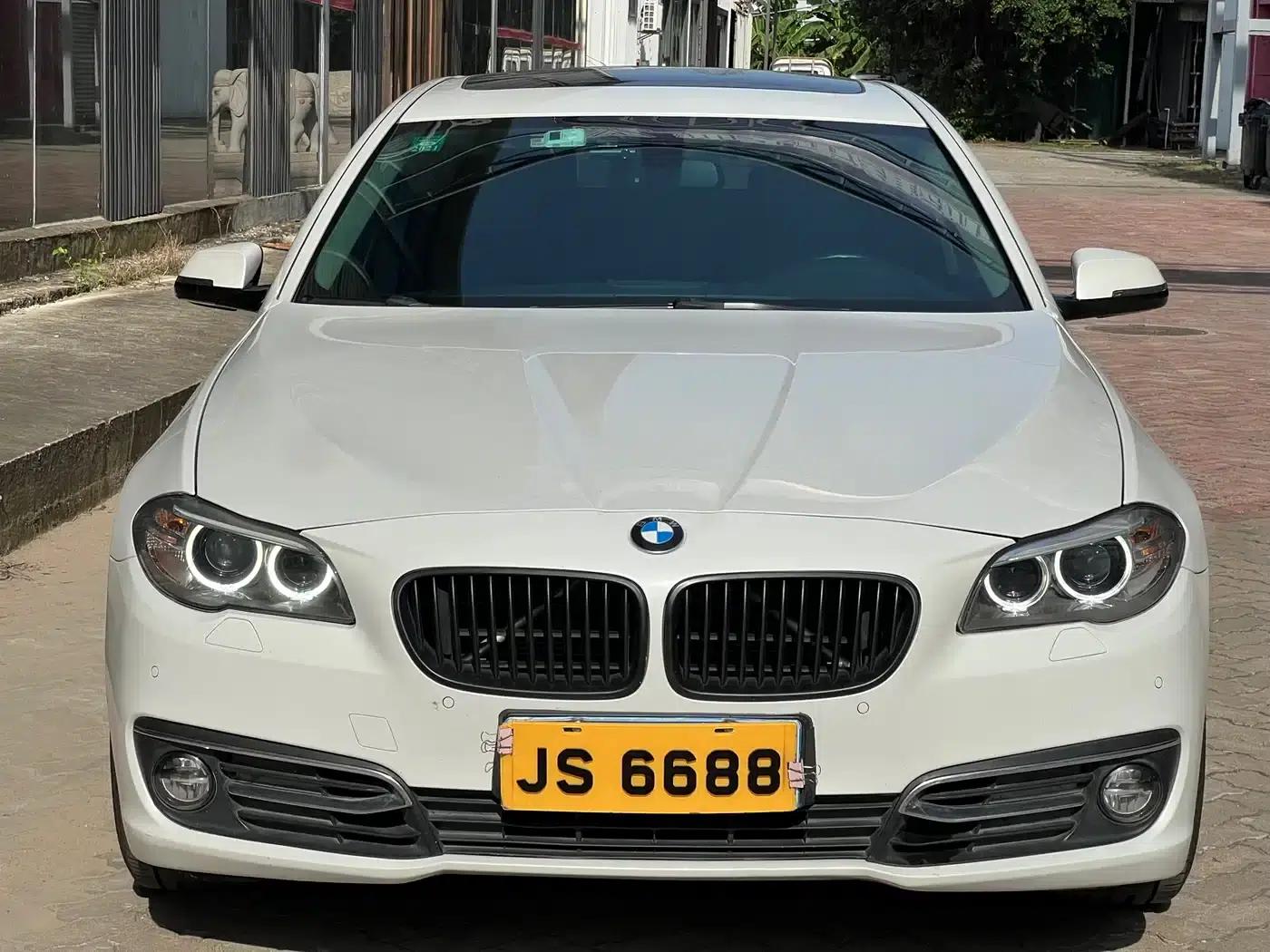 2014 BMW 5 Series 525Li Luxury Design Package — миниатюра 2