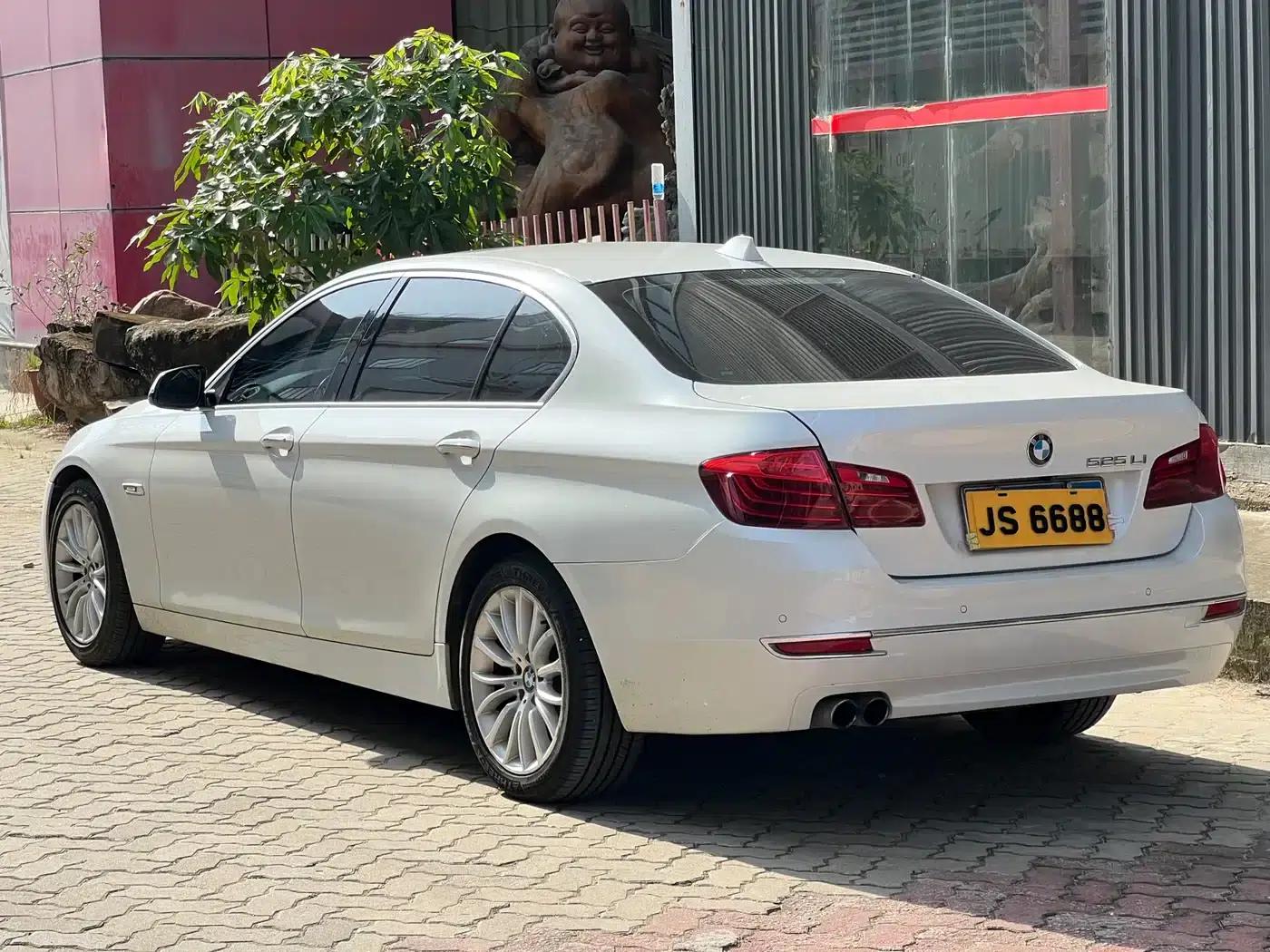 2014 BMW 5 Series 525Li Luxury Design Package — миниатюра 10