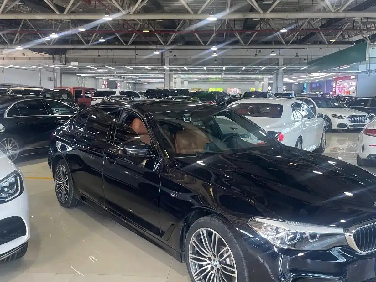 2019 BMW 5 Series 530Li Leading Edition M Sport Package — миниатюра 9