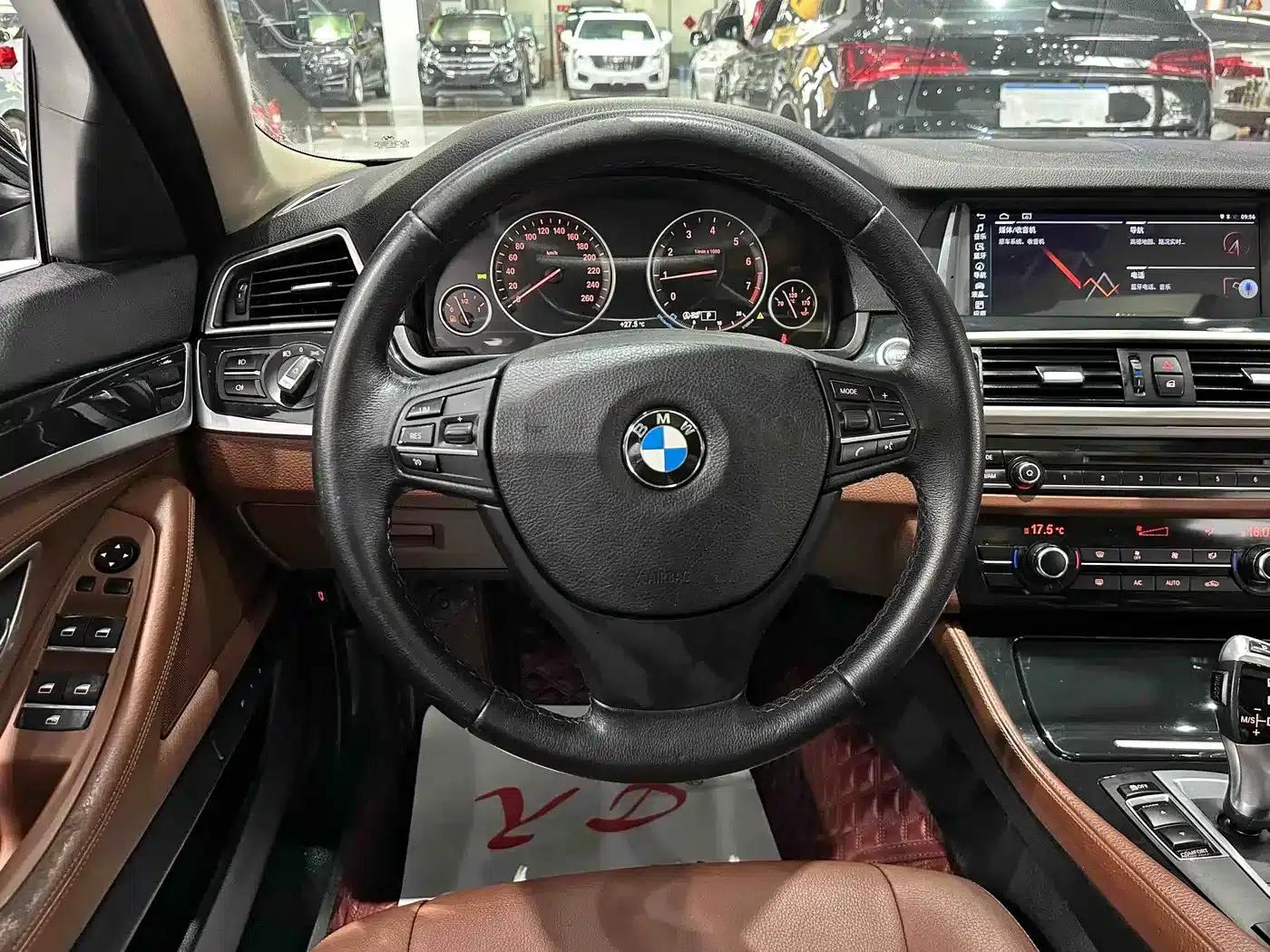 2014 BMW 5 Series 520Li Elegant Edition — миниатюра 6