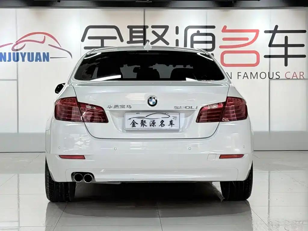 2014 BMW 5 Series 520Li Elegant Edition — миниатюра 5
