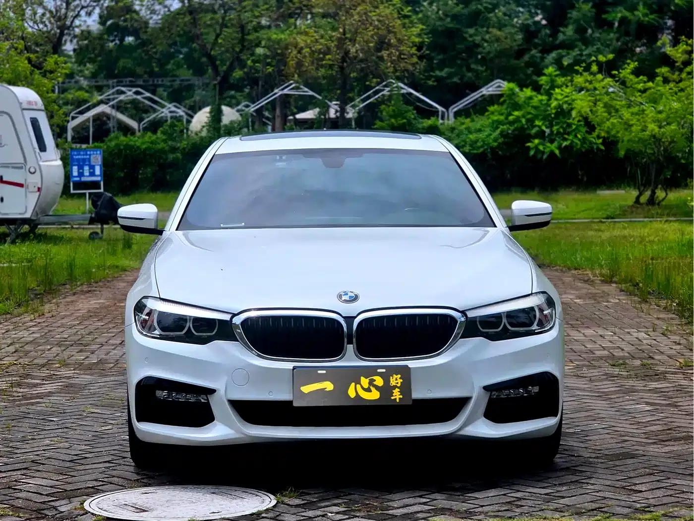 2018 BMW 5 Series 530Li Leading Edition M Sport Package — миниатюра 2