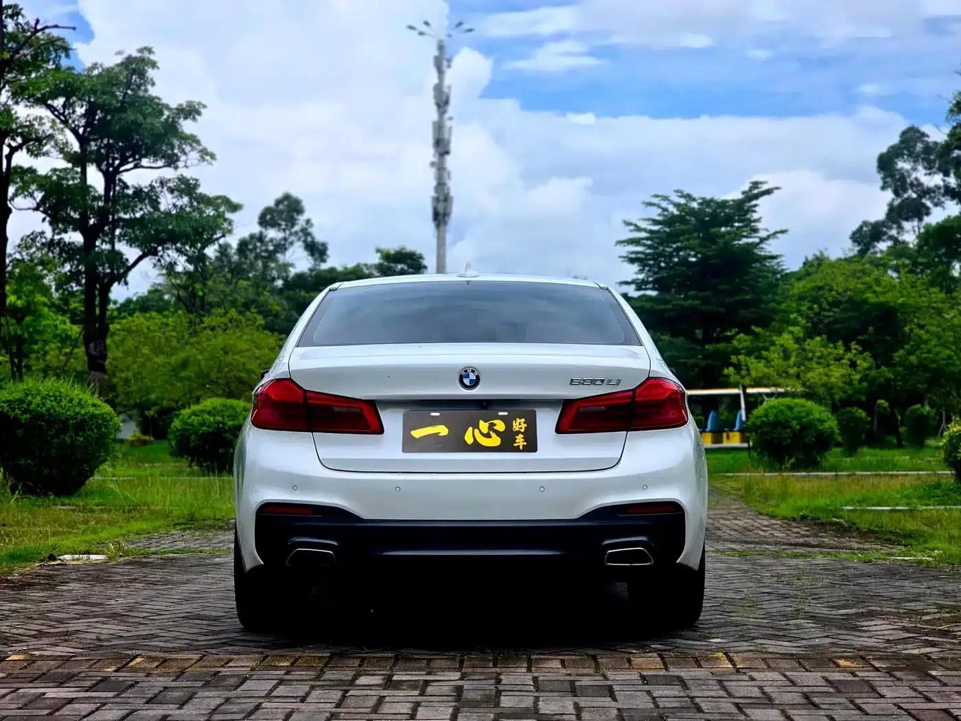 2018 BMW 5 Series 530Li Leading Edition M Sport Package — миниатюра 8