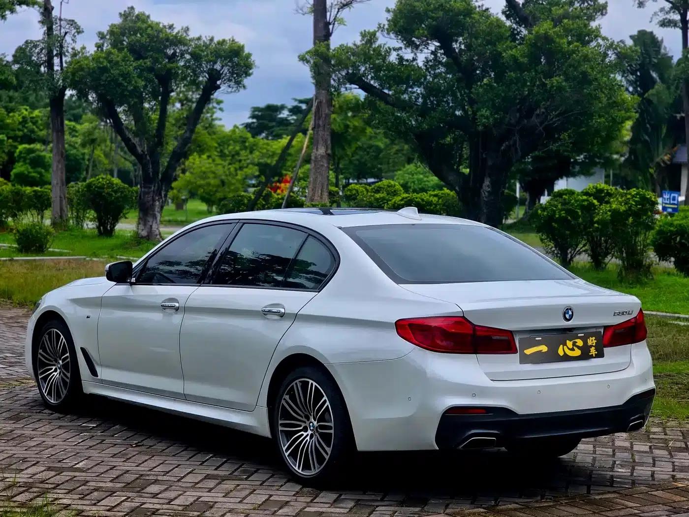 2018 BMW 5 Series 530Li Leading Edition M Sport Package — миниатюра 9