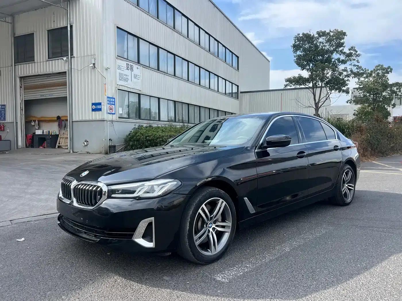 BMW 5 Series 2021 530Li Leading Luxury Package — миниатюра 1
