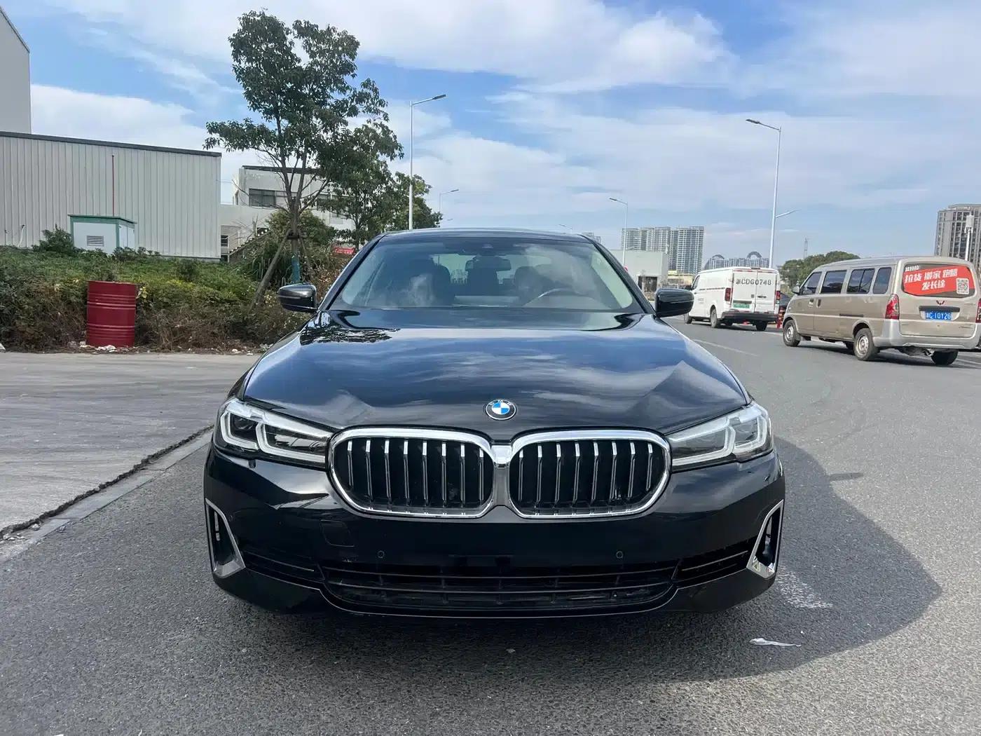 BMW 5 Series 2021 530Li Leading Luxury Package — миниатюра 2