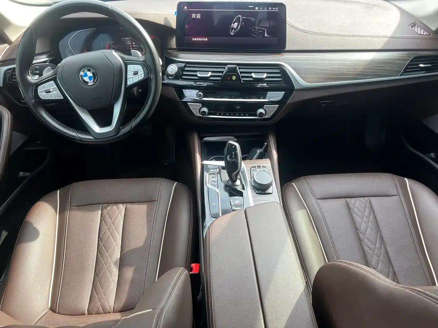 BMW 5 Series 2021 530Li Leading Luxury Package — миниатюра 5