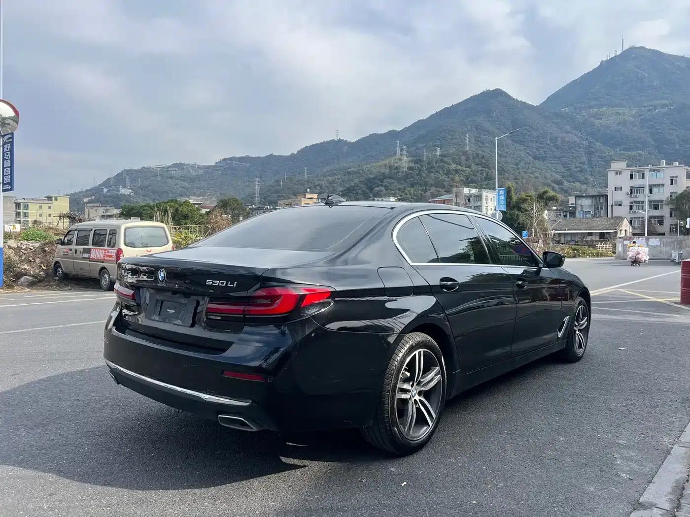 BMW 5 Series 2021 530Li Leading Luxury Package — миниатюра 7