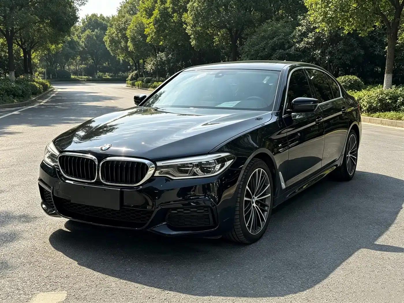 2020 BMW 5 Series 530Li Leading Edition M Sport Package — миниатюра 1