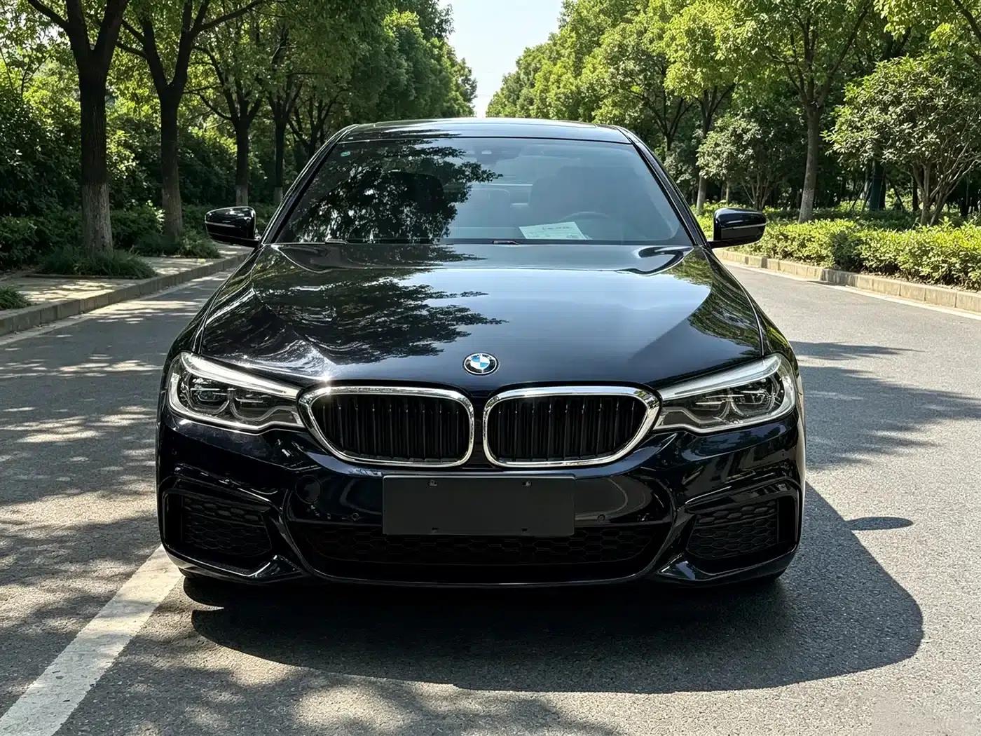 2020 BMW 5 Series 530Li Leading Edition M Sport Package — миниатюра 2