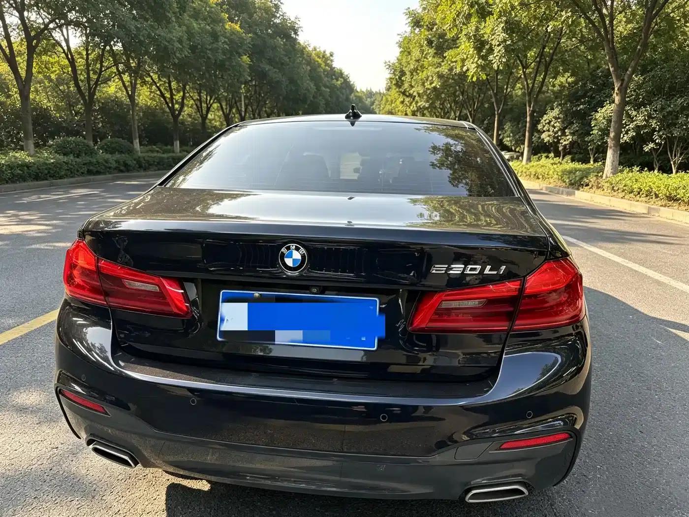 2020 BMW 5 Series 530Li Leading Edition M Sport Package — миниатюра 11