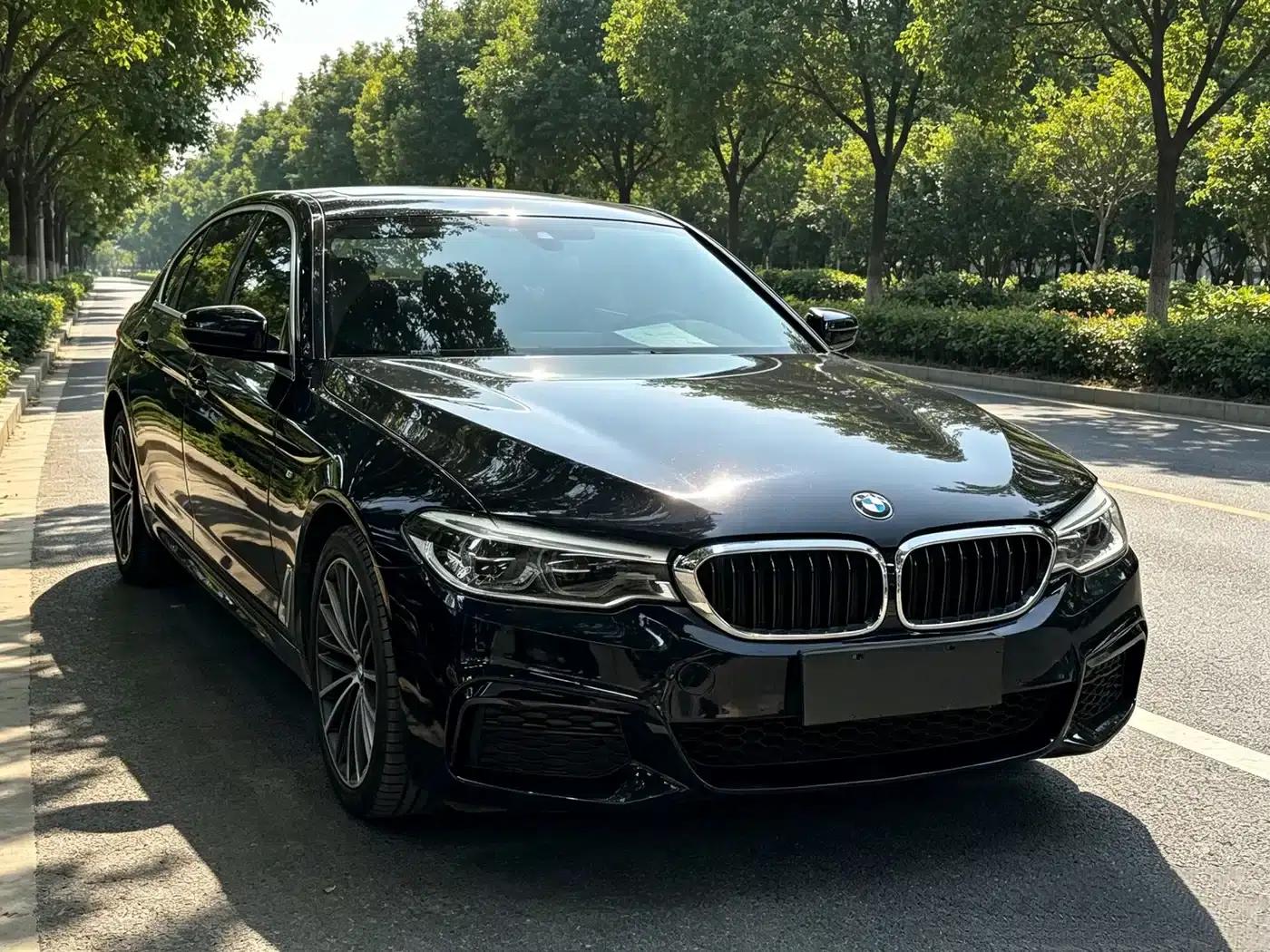 2020 BMW 5 Series 530Li Leading Edition M Sport Package — миниатюра 3