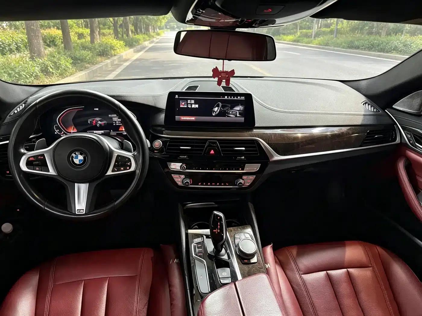 2020 BMW 5 Series 530Li Leading Edition M Sport Package — миниатюра 4